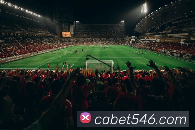 ca亚洲城APP 封面图